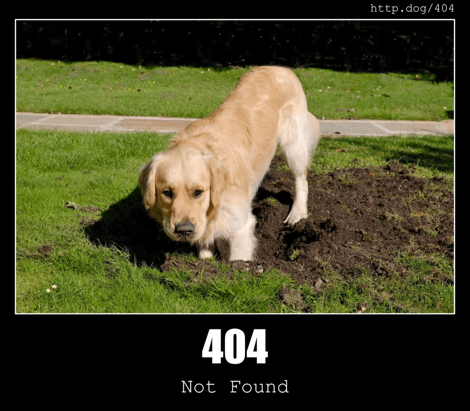 404